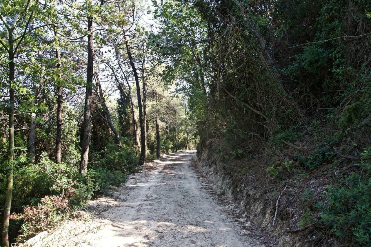 A Lea L'ua Finale Ligure
